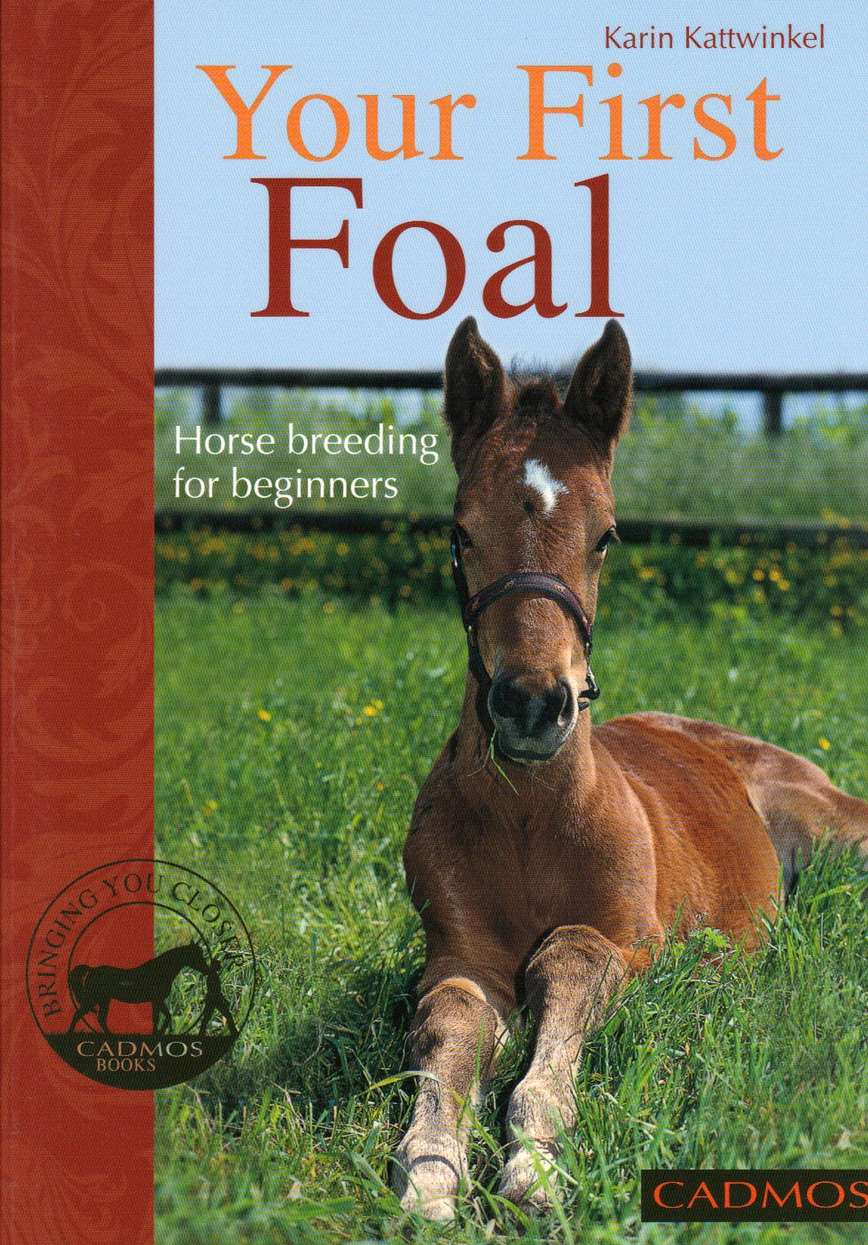 Book Your First Foal Horse Breeding for Beginners by Karin Kattwinkel from trot-online