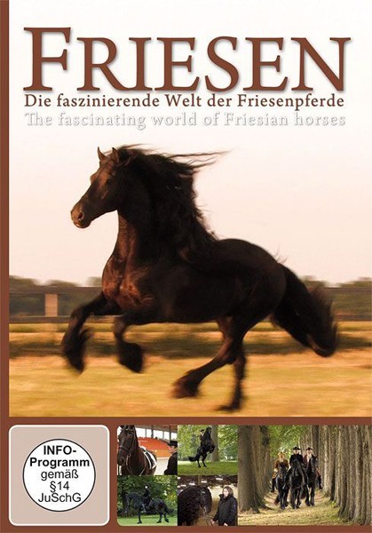 DVD Friesens The Fascinating World of Friesen Horses from trot-online
