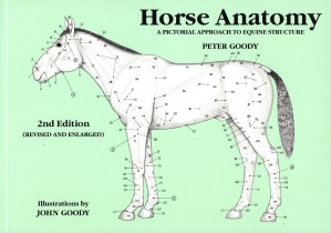 Book Horse Anatomy A Pictorial Approach To Equine Structure by Peter Goody from trot-online