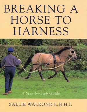 Breaking A Horse To Harness A Step by Step Guide by Sallie Walrond from trot-online