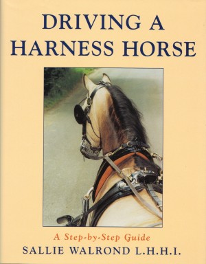 Driving A Harness Horse A Step by Step Guide by Sallie Walrond from trot-online