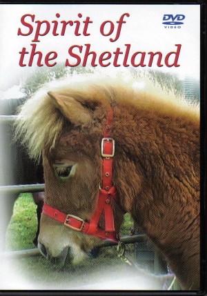 DVD Spirit of the Shetland Pony from Trot-Online