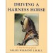 Driving A Harness Horse A Step by Step Guide by Sallie Walrond from trot-online