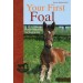 Book Your First Foal Horse Breeding for Beginners by Karin Kattwinkel from trot-online