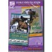 Nelson Pessoa and Ludger Beerbaum Showjumping training DVD from Trot-Online