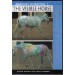 DVD Anatomy in Motion The Visible Horse from Trot-Online